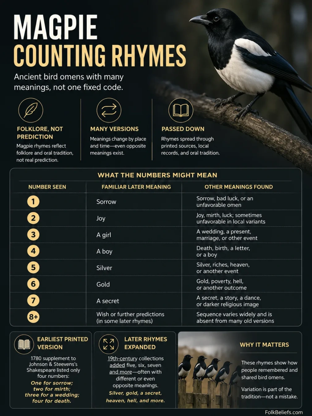 A magpie counting rhyme chart showing superstitions and phrases for different numbers of magpies.
