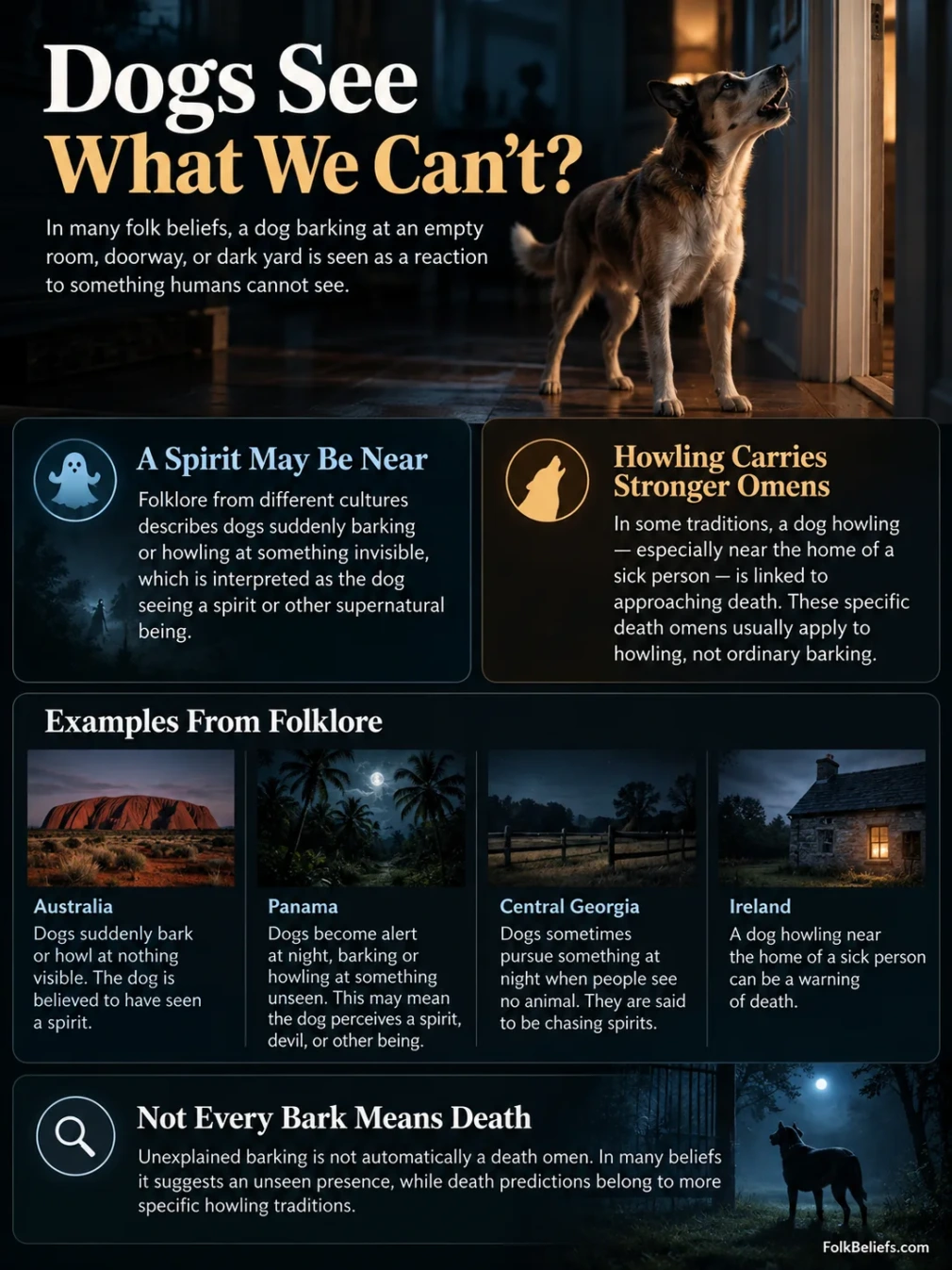 Dog barking at empty space, often linked to superstitions and beliefs about spirits or unseen presences.